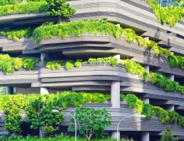 Why Sustainable Buildings Are Leading the Market