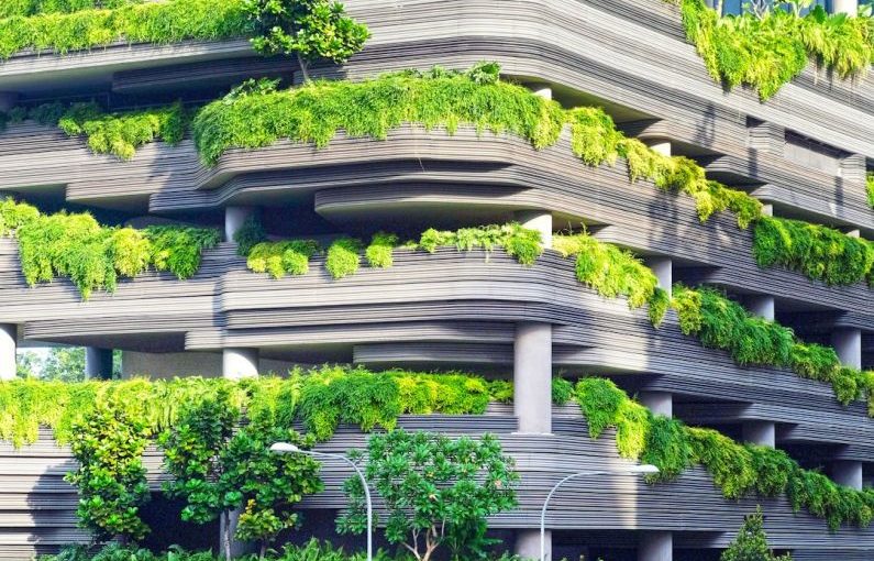 Green Building - gray concrete building covered trees