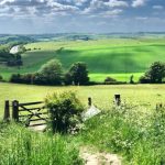 Rural Landscape - green grass field under blue sky during daytime