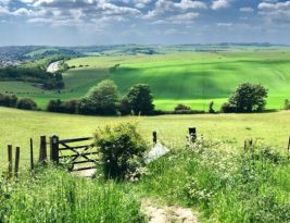 Redefining Rural Real Estate: Opportunities & Challenges