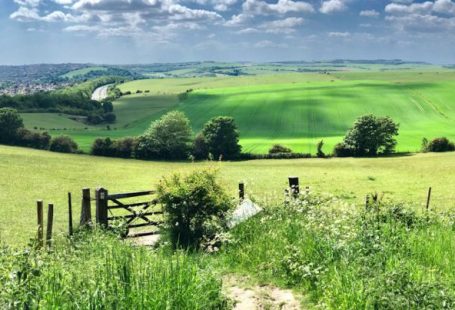 Rural Landscape - green grass field under blue sky during daytime