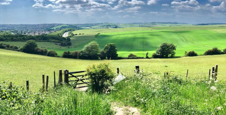 Rural Landscape - green grass field under blue sky during daytime