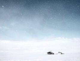 Understanding the Impact of Global Events on Real Estate