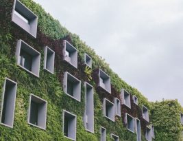 Eco-friendly Homes: What to Consider