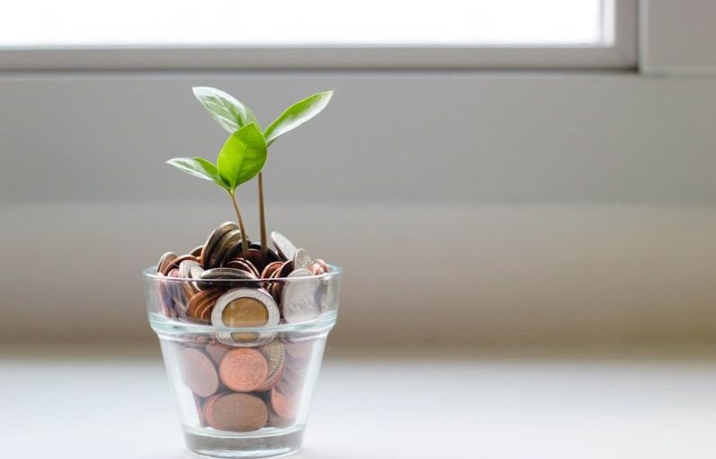 Saving Money - green plant in clear glass cup