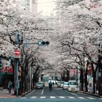 City Countryside - person riding bike on street