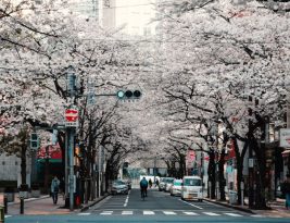 Urban Vs. Rural: Where the Real Estate Market Is Headed