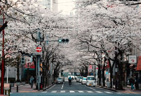 City Countryside - person riding bike on street