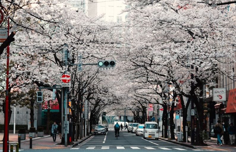 City Countryside - person riding bike on street